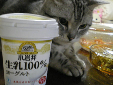 IMGP5593.JPG