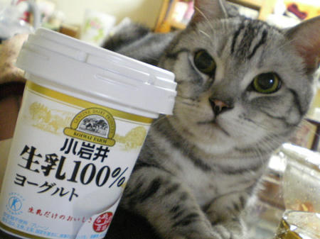 IMGP5594.JPG