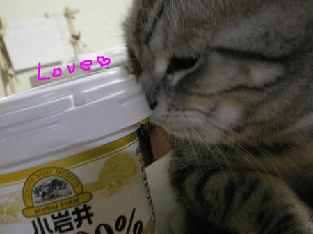 IMGP5595.JPG