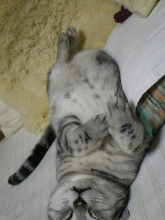 IMGP5730.JPG