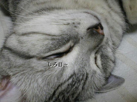 IMGP5731.JPG