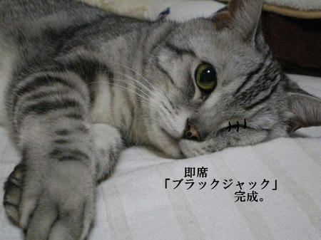 d605fcc2.jpeg