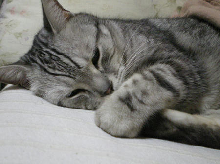 IMGP5734.JPG