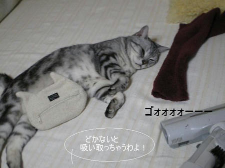 IMGP5925.JPG