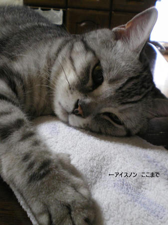 IMGP6152.JPG