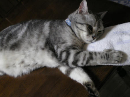 IMGP6153.JPG