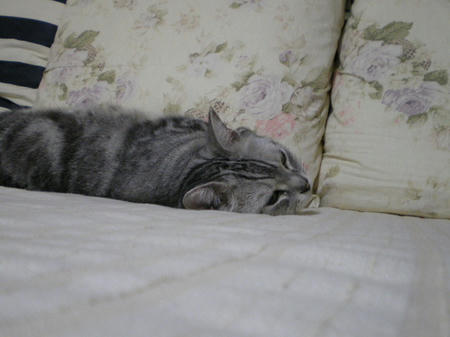 IMGP6281.JPG