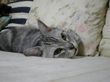 IMGP6282.JPG