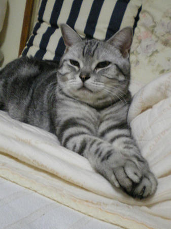 IMGP6481.JPG