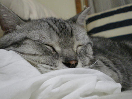 IMGP6520.JPG