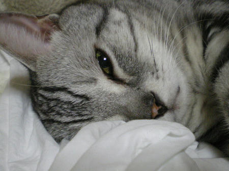 IMGP6523.JPG