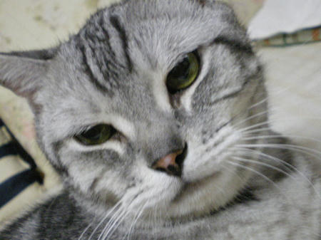 IMGP6540.JPG
