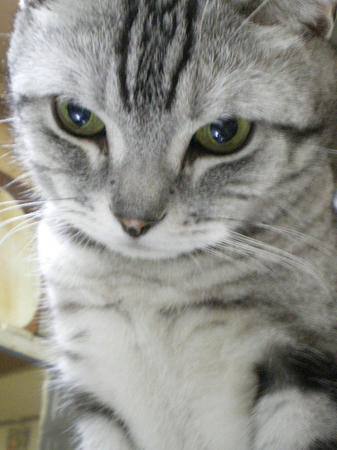 IMGP6576.JPG