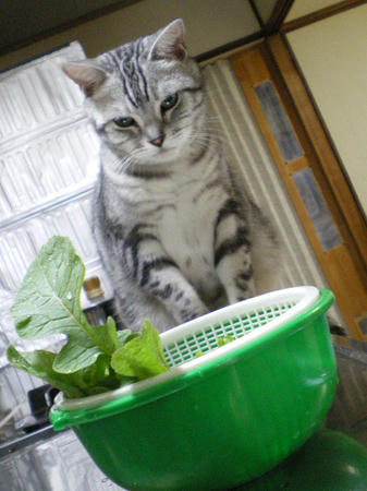 IMGP6579.JPG