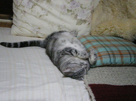 IMGP6800.JPG