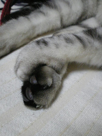 IMGP6843.JPG