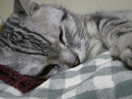 IMGP6847.JPG