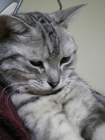 IMGP6850.JPG