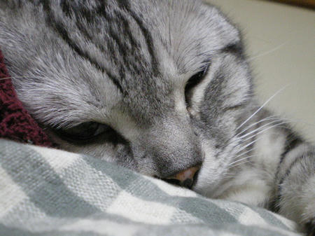 IMGP6848.JPG