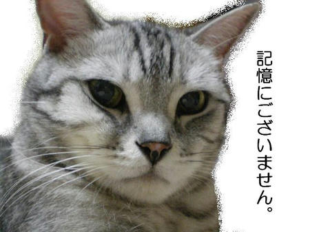 おまえは政治家か・・・・。