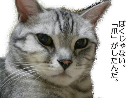 それを「責任転嫁」という。。