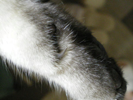 IMGP7260.JPG