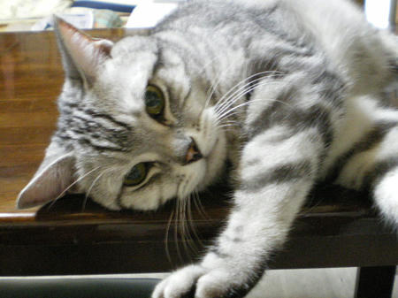 IMGP7262.JPG