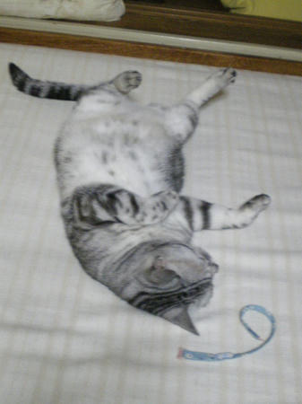 IMGP7329.JPG