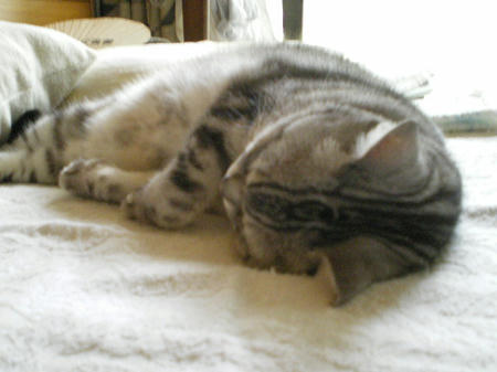 IMGP7490.JPG