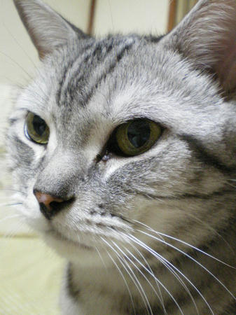 IMGP7503.JPG
