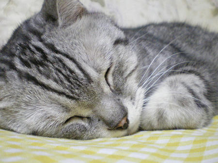 IMGP7517.JPG