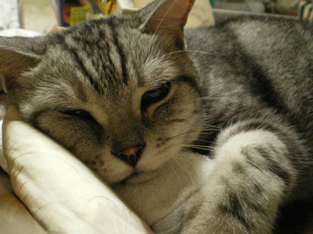 IMGP8653.JPG