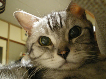 IMGP8651.JPG