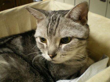 IMGP8712.JPG