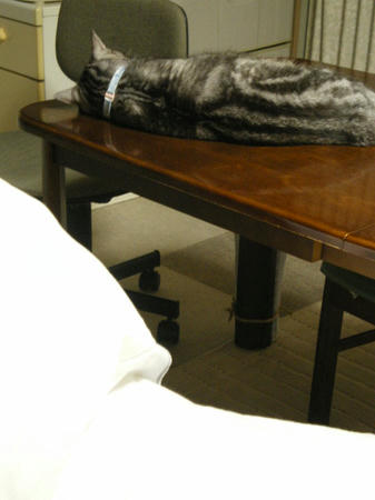IMGP8778.JPG