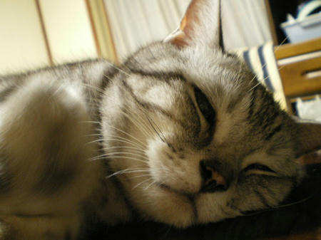 IMGP8781.JPG