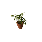 sho_plants_mini01.gif