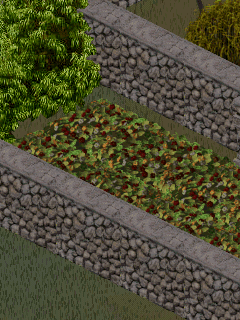 sho_shrubs_lowround_01nasturtiumdead_preview.gif