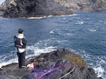 斉藤本流
