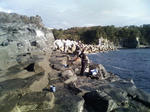 2008.11.23-2