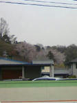 99.jpg