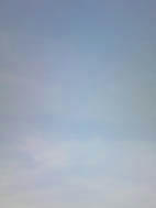 169.jpg