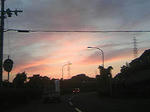 245.jpg
