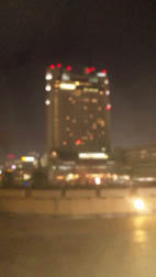 339.jpg