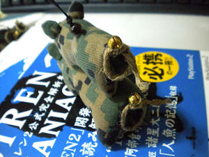 真場さんのプリケツ