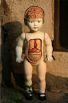 anatomydoll2.jpg