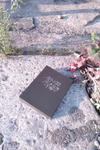 20100602175028.jpg