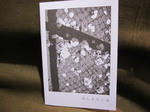 IMG_1657.jpg