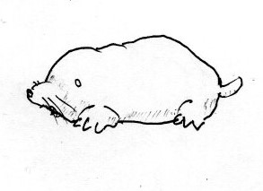 ミュータント・モグラ(2)