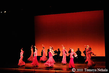 Flamenco プブリカシオンNo.14